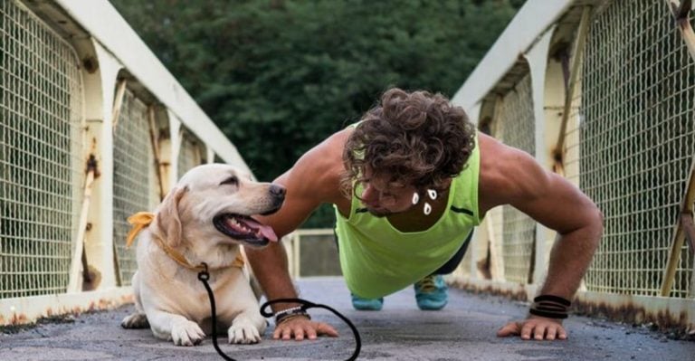 Here’s 10 Reasons Why a Labrador Retriever Might Not Be Right for You