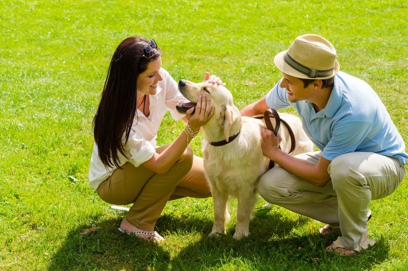 Conversation Starters On Four Legs