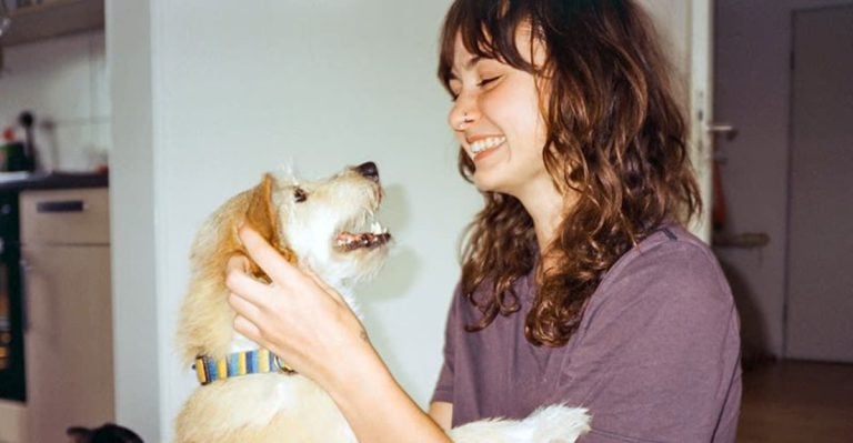How to Reconnect With a Rescue Dog After a Rocky Start