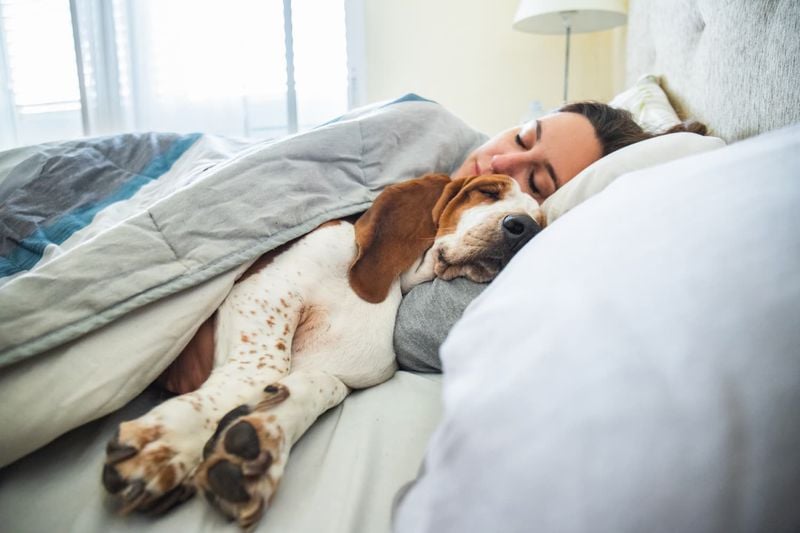 Improves Sleep Quality