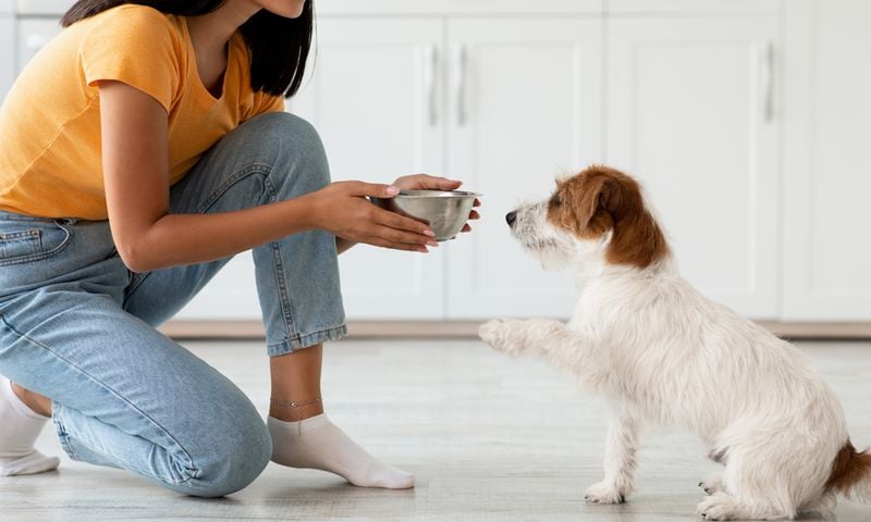 Best Practices for Success