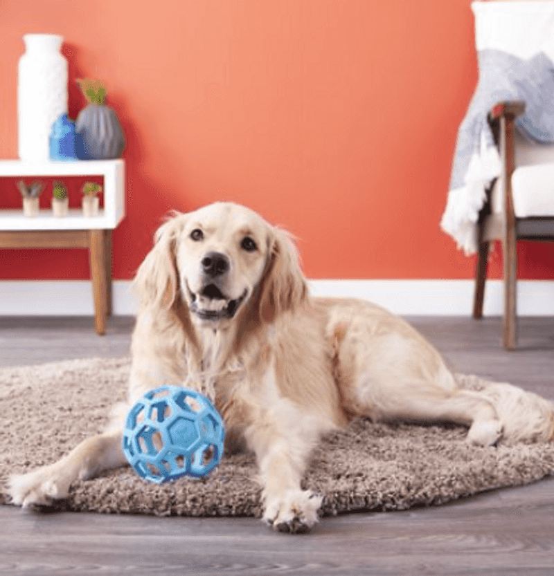 JW Pet Hol-ee Roller