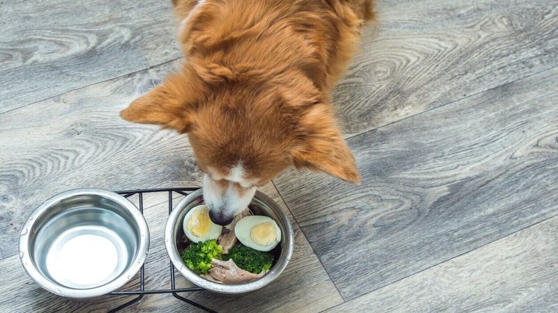 Protein-Packed Eggs: The Complete Meal