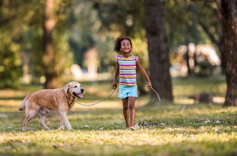 Strengthens the Human-Dog Bond