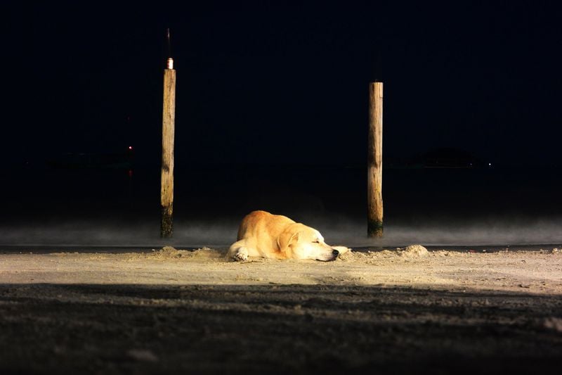 They Try to Wander Off Alone