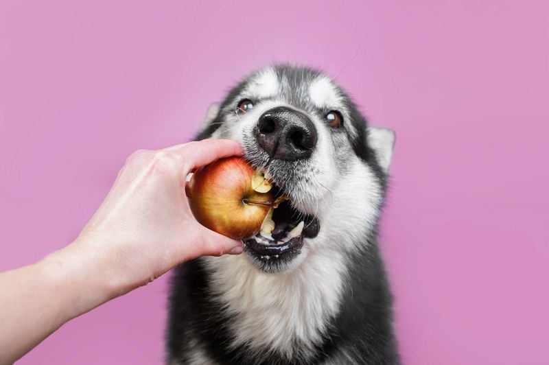 Apple Seeds