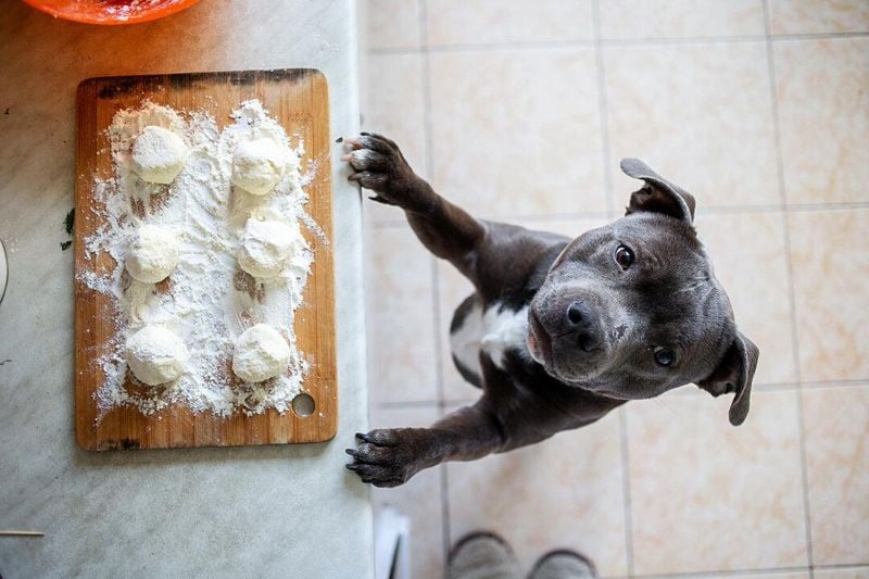 Raw Yeast Dough Dangers