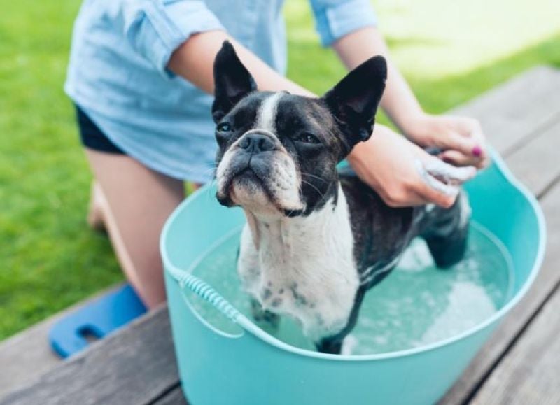 Soothing Oatmeal Baths for Itchy Skin
