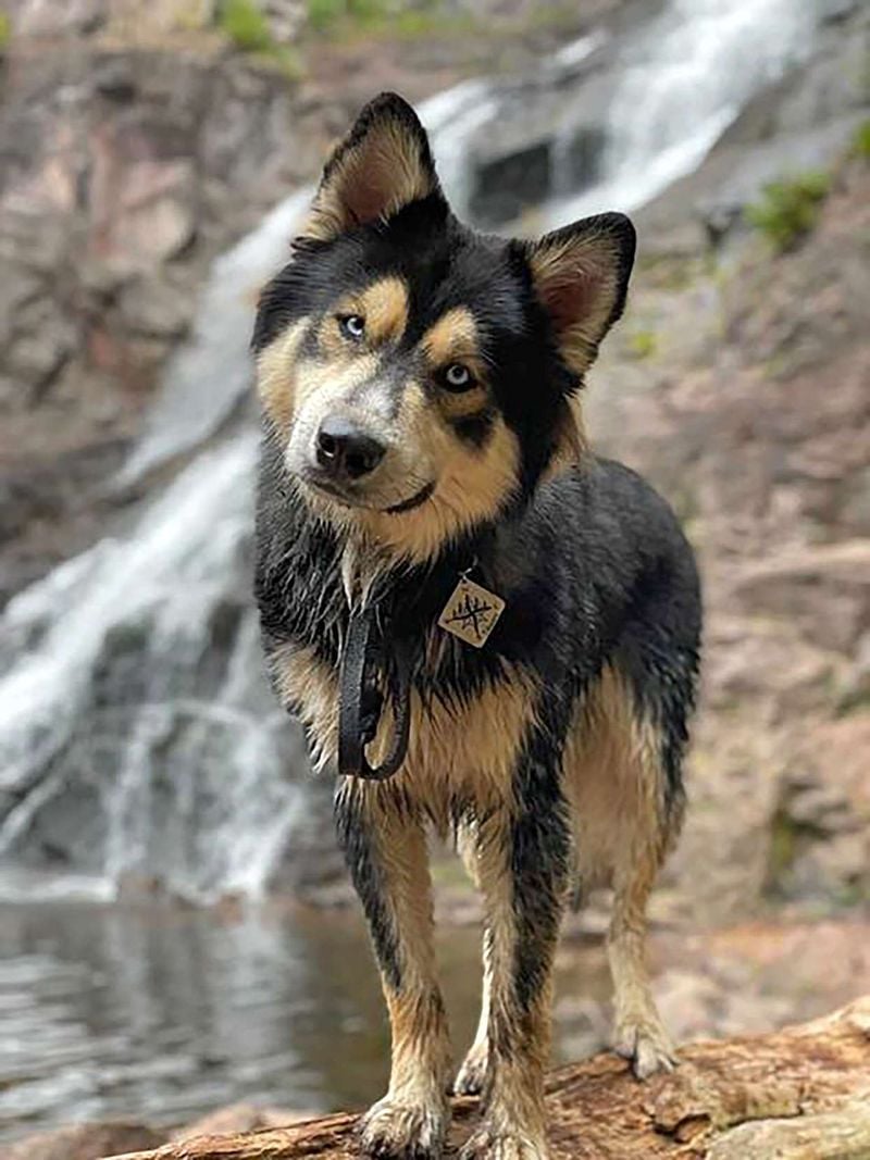 Shepsky