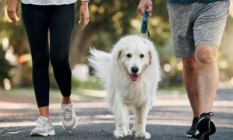 Exercise Together