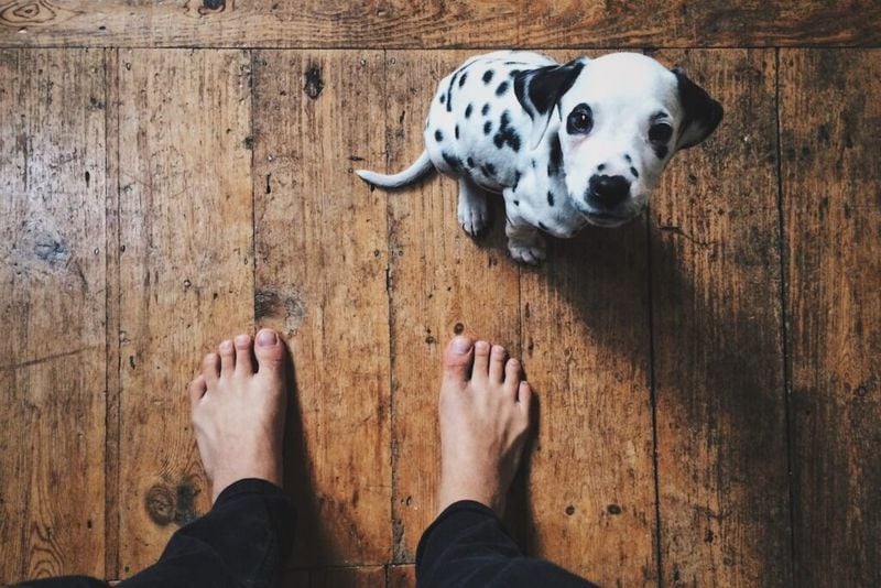 Expecting Too Much, Too Soon