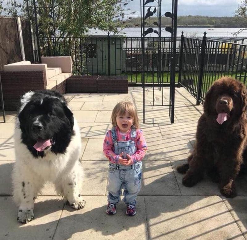 Newfoundland