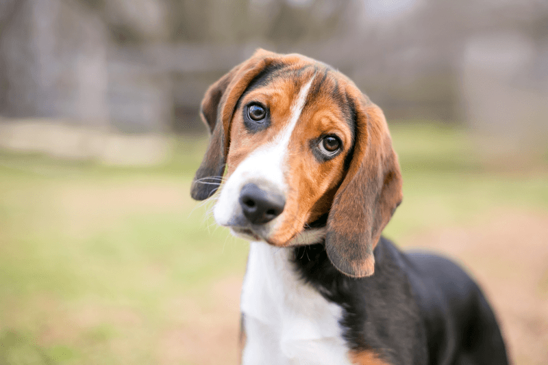 They can tell when you're talking about them