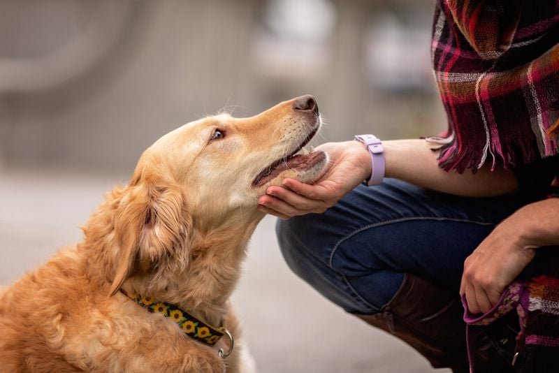 Take Note of Greeting Behavior