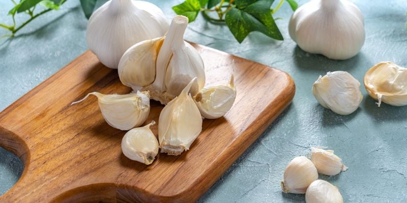 Garlic