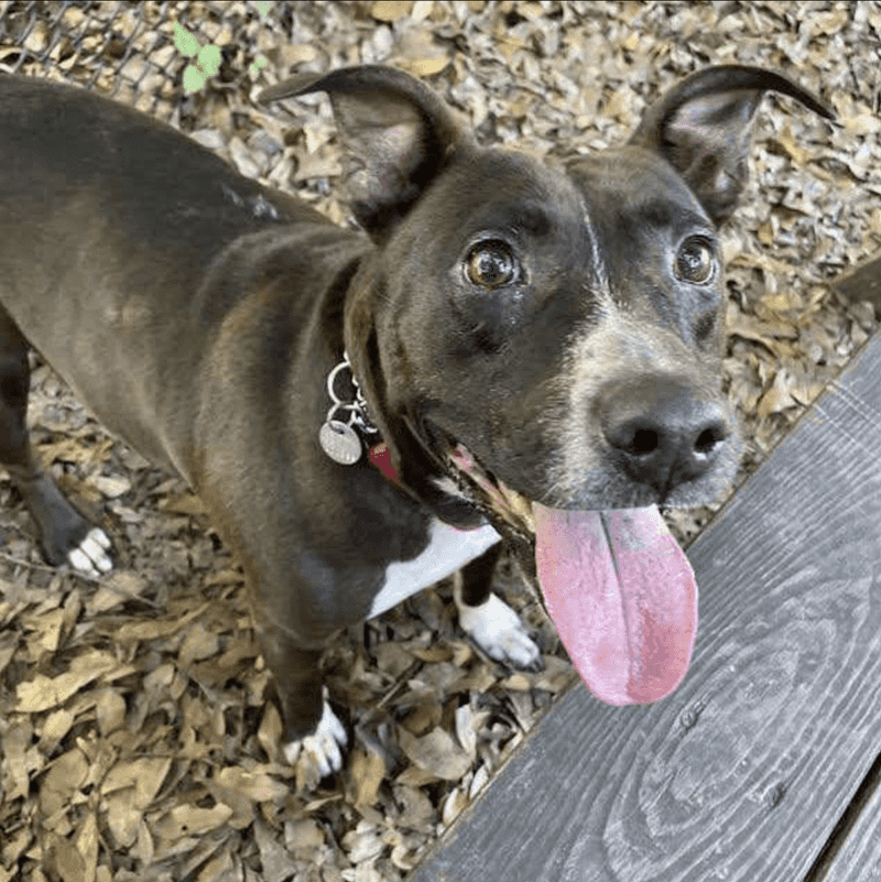 The Stigma of Previous Returns