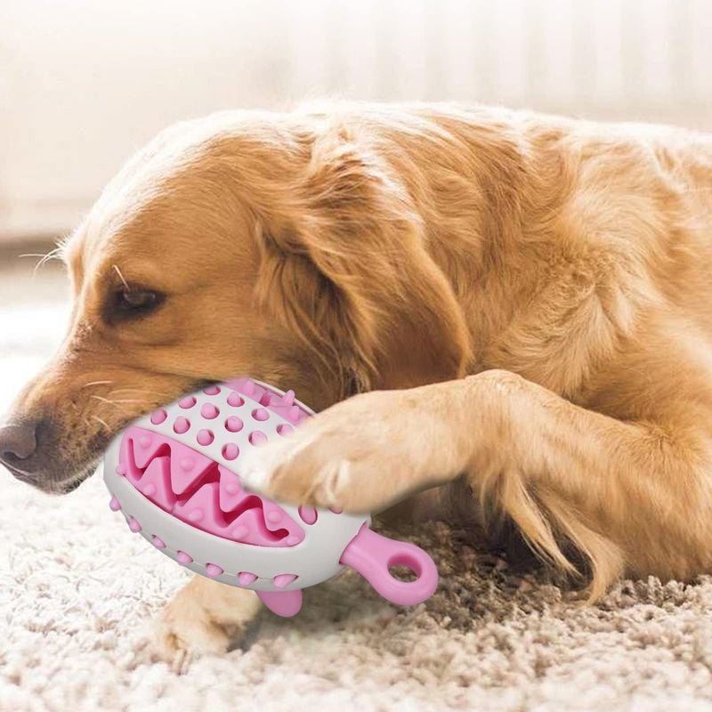 Treat-Dispensing Snail or Hedgehog