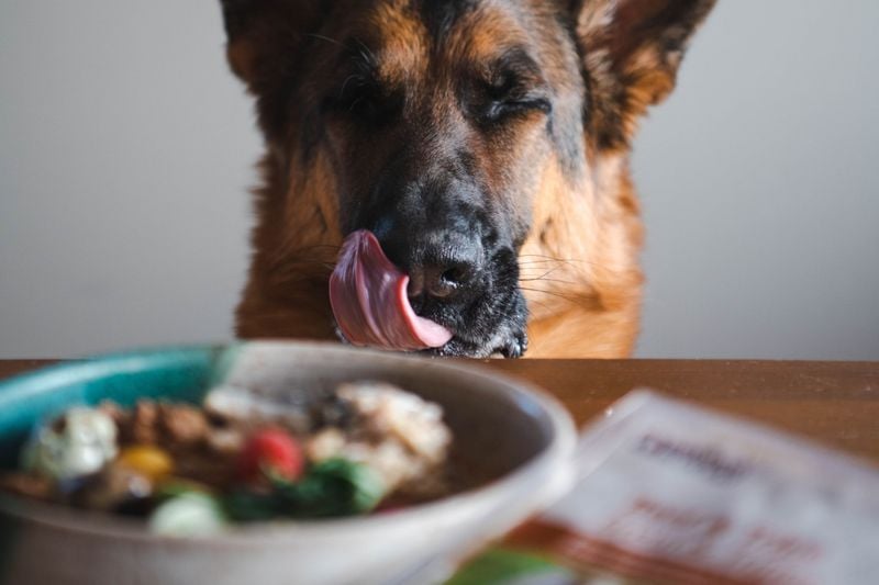 Common Myths and Misconceptions