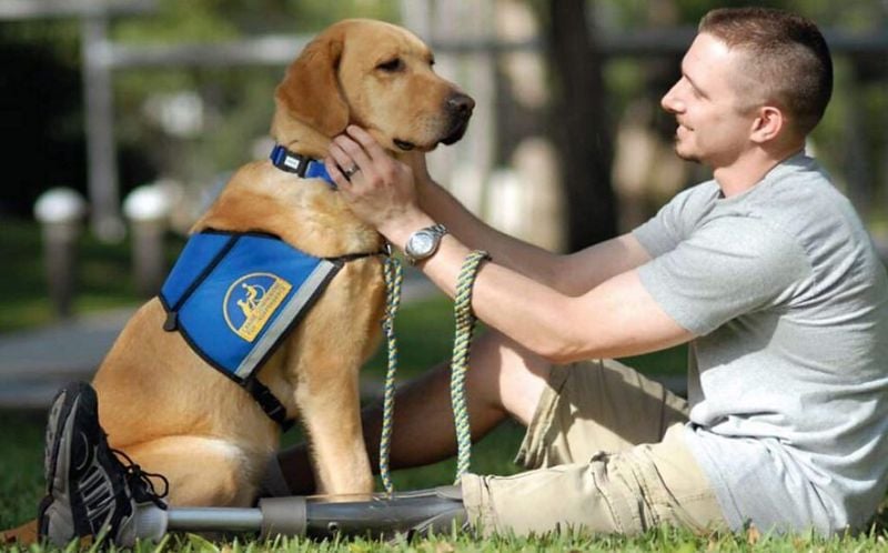Provides Emotional Support