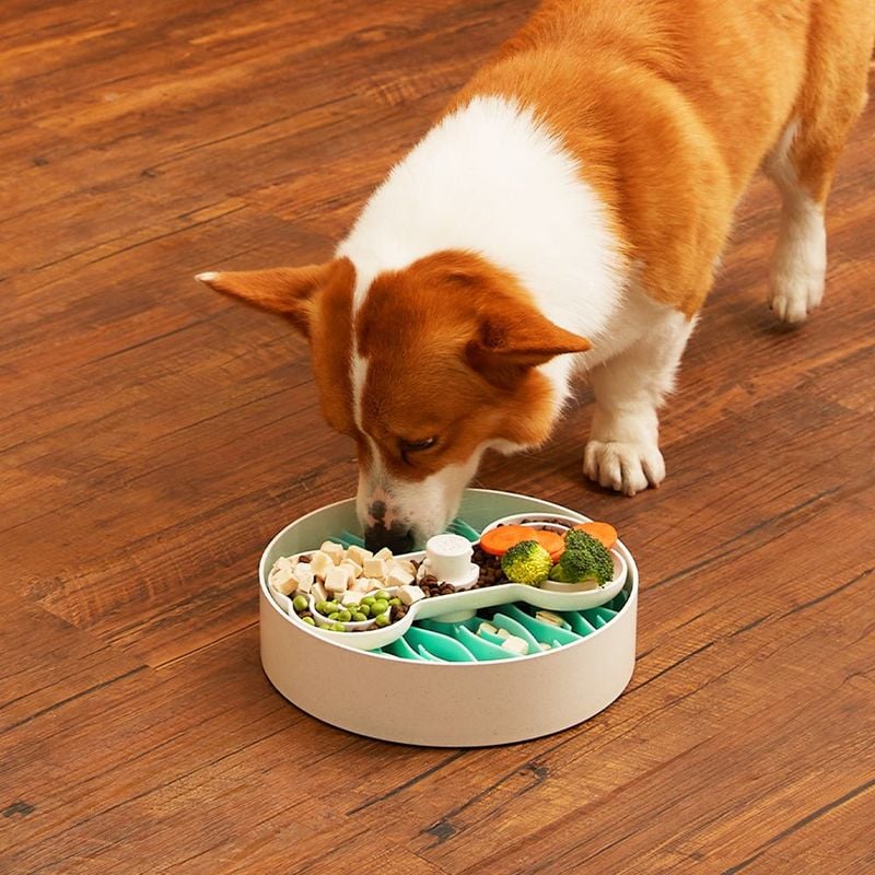 Try Puzzle Feeders and Slow Bowls