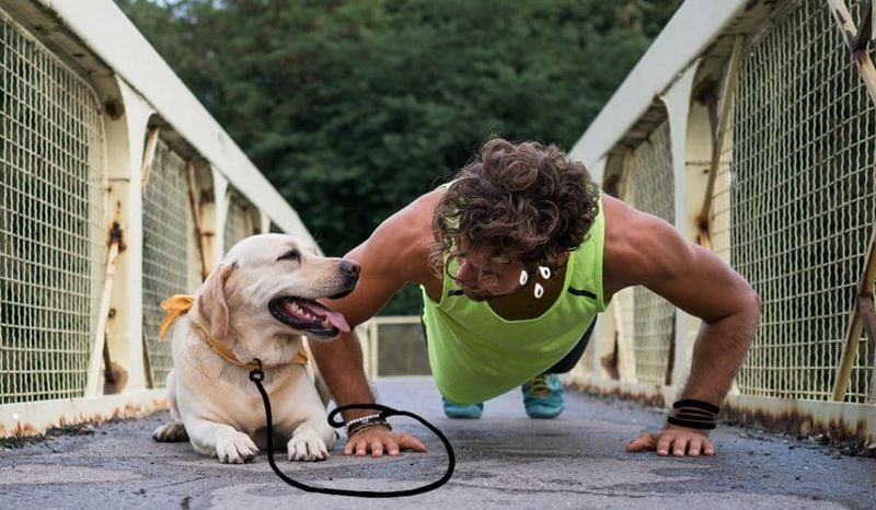 Boundless Energy That Requires Daily Exercise