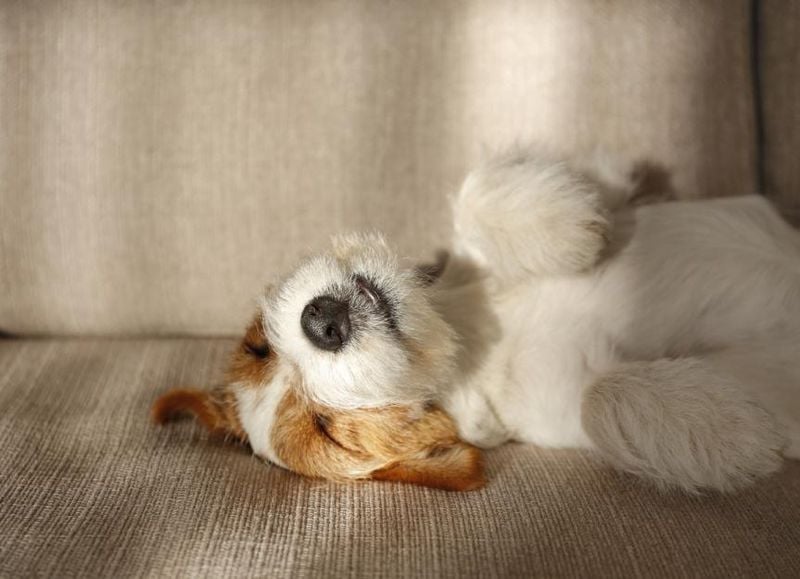 Sleep in New or Odd Places