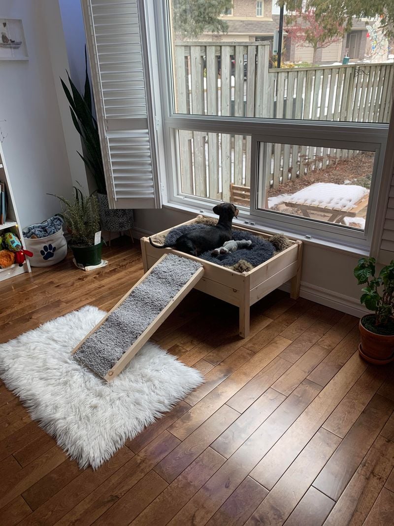 Install Doggy Windows or Lookout Spots