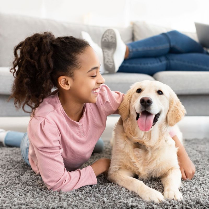 Provide a Safe, Comfortable Living Environment