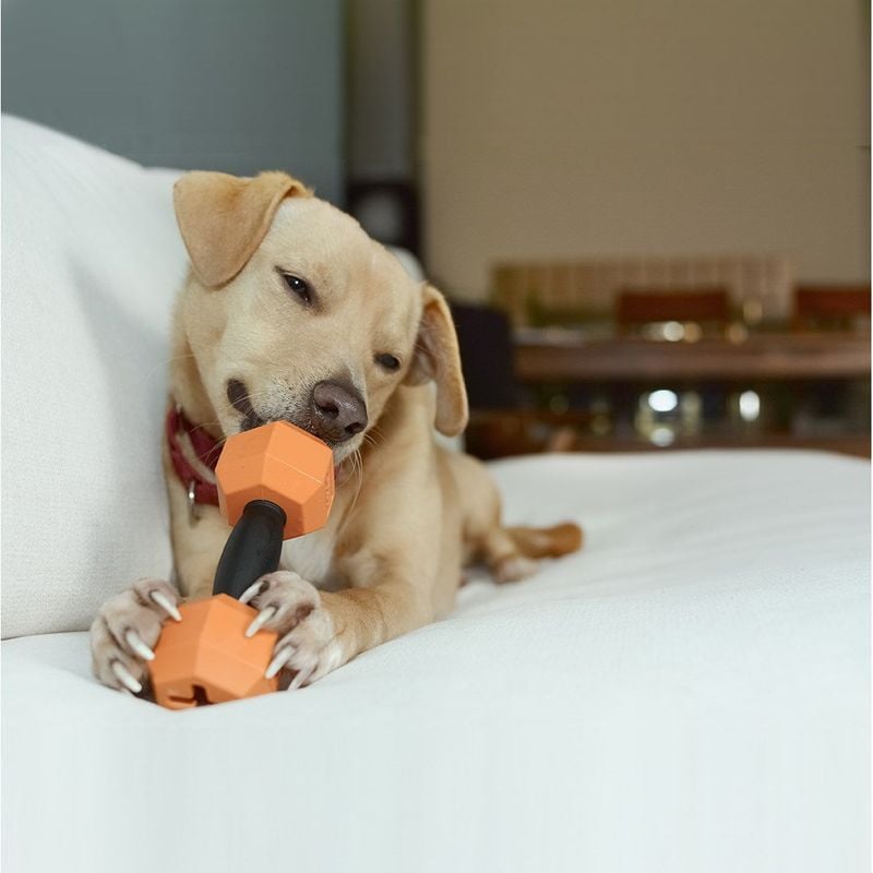 They Can Be Mouthy and Obsessive with Toys