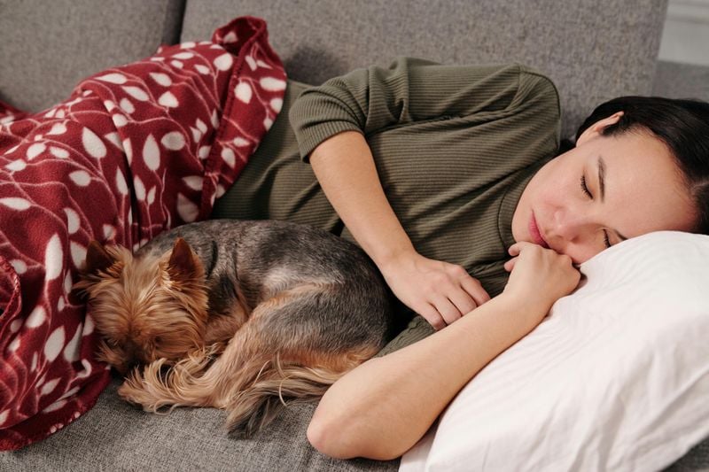 Environment-Driven Sleep Timing