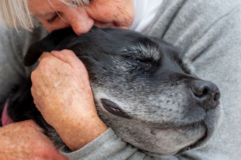Time the Goodbye With Compassion