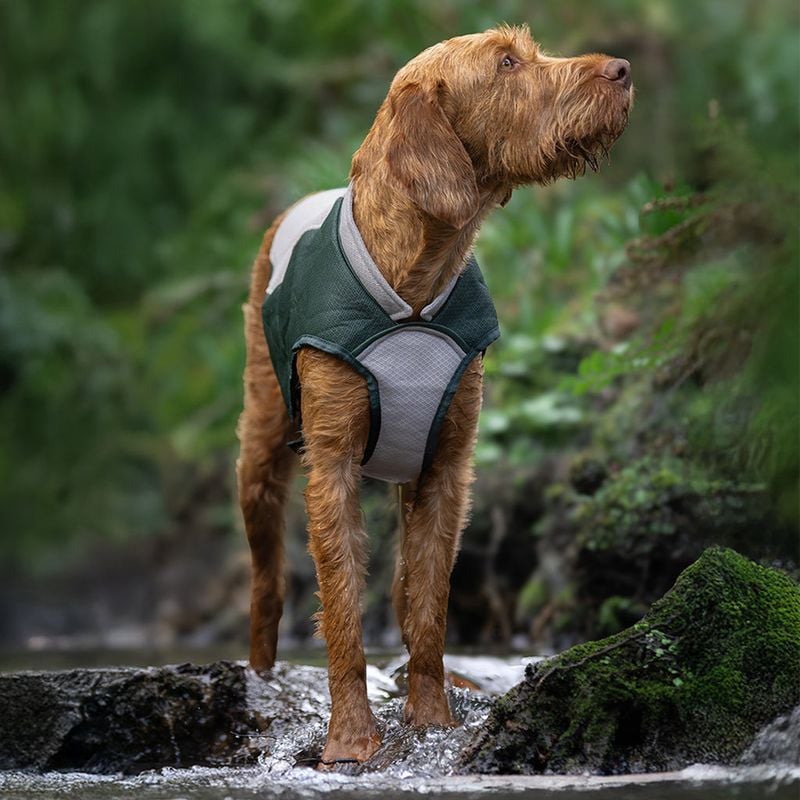 Use Cooling Mats or Vests