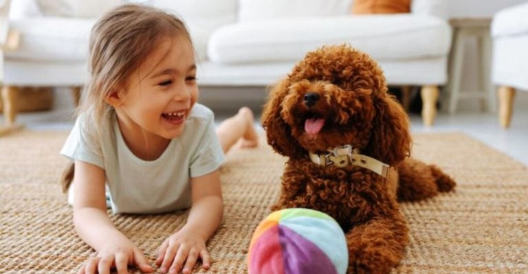The 13 Best Dog Breeds If You Have a Toddler