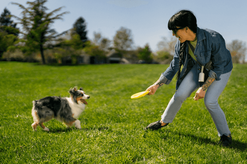 Incorporate Playtime