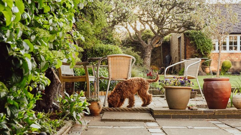 Create Shady Chill Zones