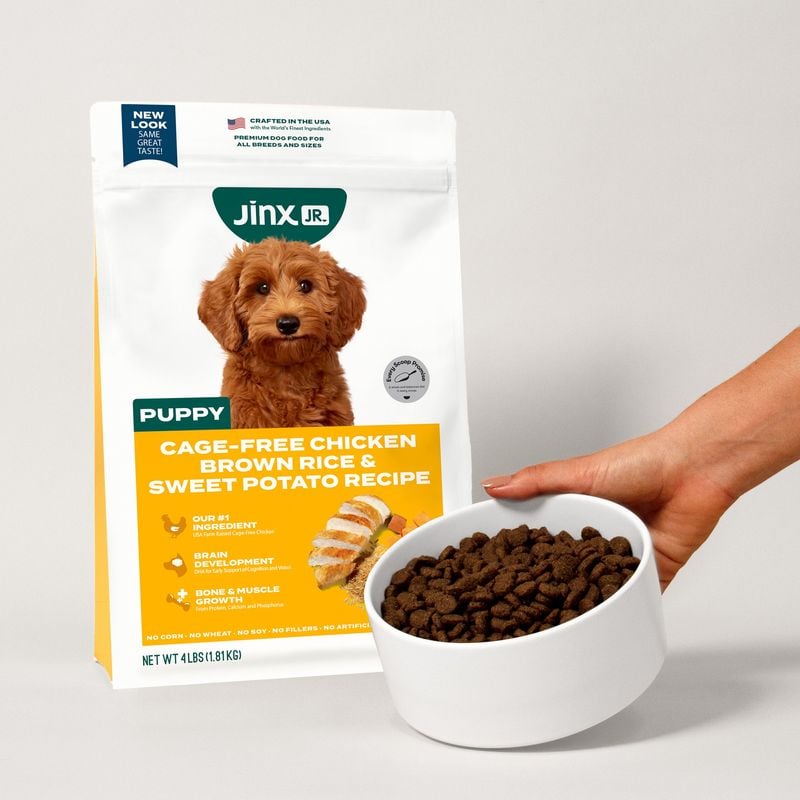 Choose Premium Dog Food with Real Ingredients