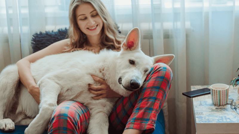 They Choose to Be Near You, Even When Nothing’s Happening