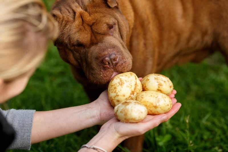Green Potatoes