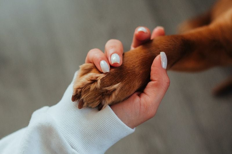 Respecting Their Body Language and Boundaries