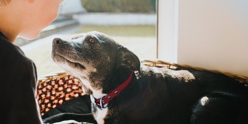 They’re Experiencing Cognitive Decline