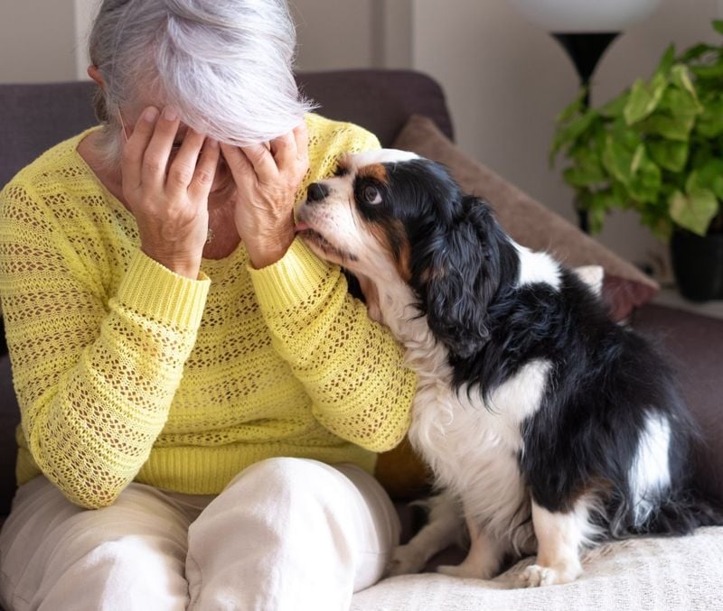 They know when you're sad—and offer comfort