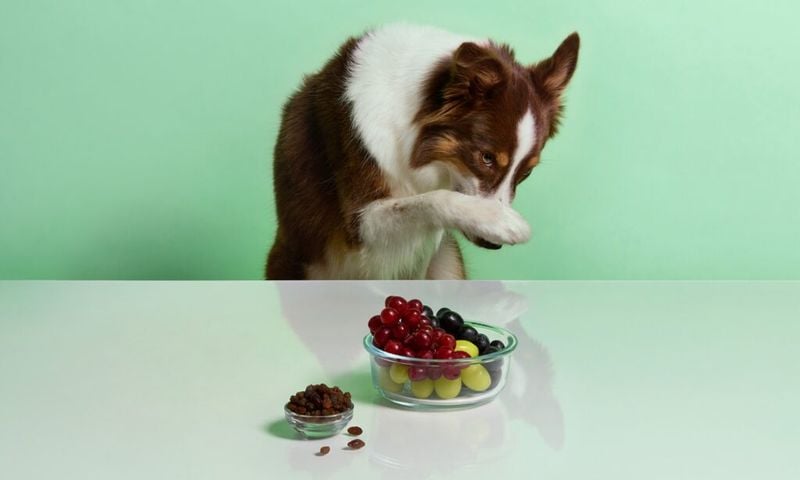 Raisins