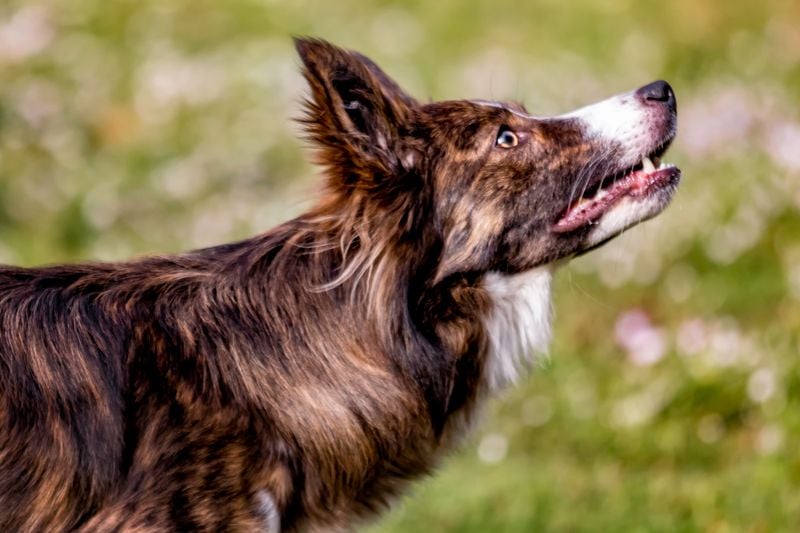 They’re Experiencing Pain or Discomfort