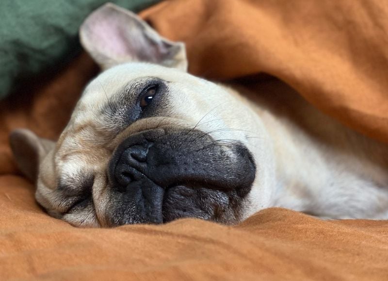 They sigh deeply when they're near you