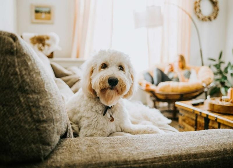 Improved Behavior at Home