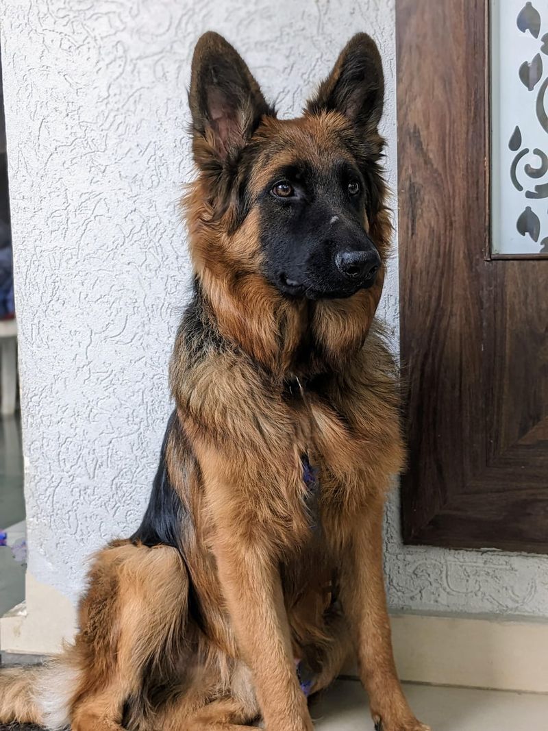 Always on Alert