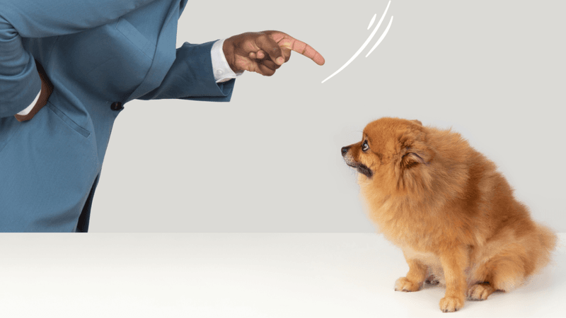 Yelling or Speaking in an Angry Tone