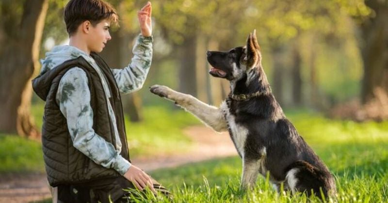 Present-Moment Masters