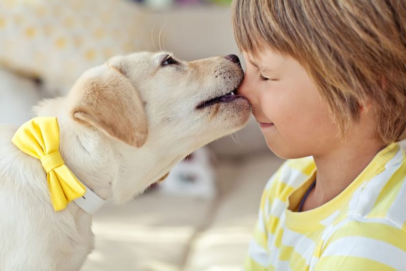 Dogs Good With Some Kids Are Safe With All Kids