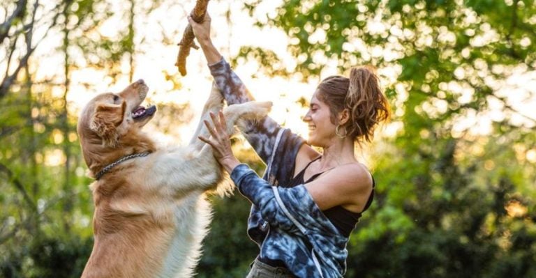 Your Dog Knows When You’re Stressed—And It Might Make Them Moody Too